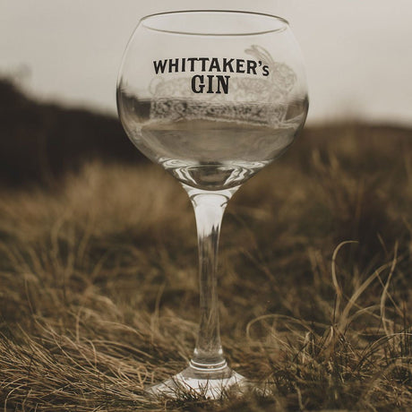 Large Gin Balloon Glass